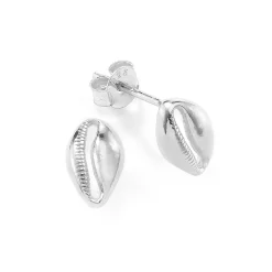 Schmuckladen Muschel-Ohrstecker Kauri - 925 Sterlingsilber^ Ohrstecker|Schmuck