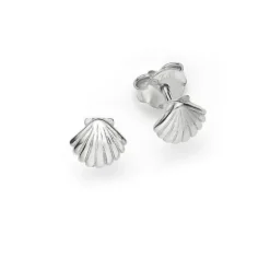 Schmuckladen Ohrstecker Muschel - 925 Sterlingsilber^ Ohrstecker|Schmuck