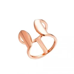 Schmuckladen Ring Double Ring - 925 Sterlingsilber^ Vergoldete Ringe|Schmuck