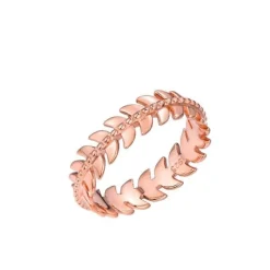 Schmuckladen Ring Ehrenkranz - 925 Sterlingsilber^ Vergoldete Ringe|Silberringe