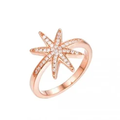 Schmuckladen Ring Polarstern - 925 Sterlingsilber^ Vergoldete Ringe|Schmuck